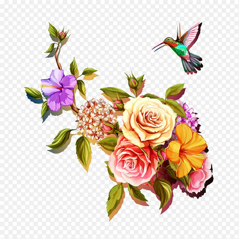 花鸟高清免抠
