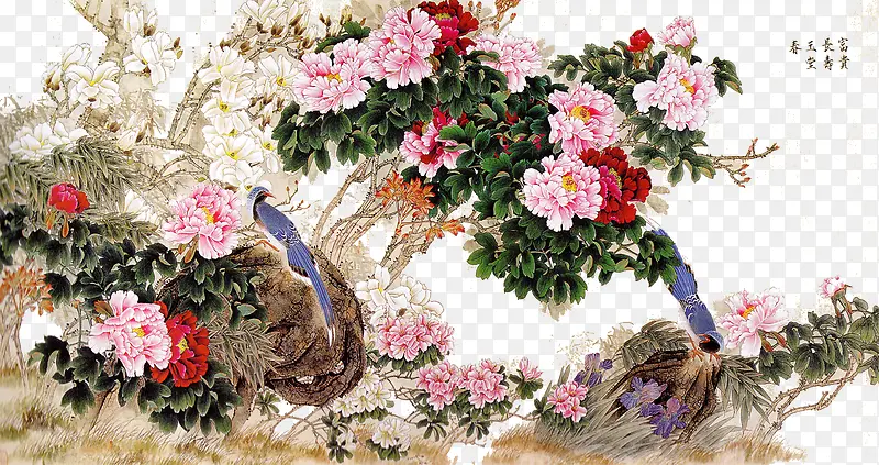 花鸟图