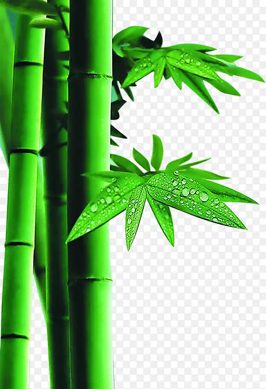 手绘创意高清合成小狗绿色质感竹子