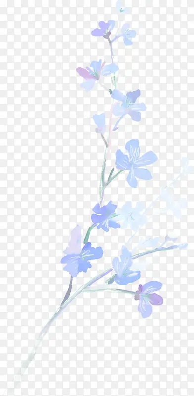 蓝色花枝