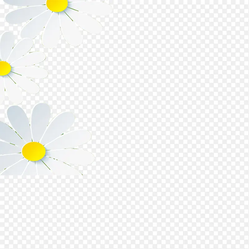 三朵小白花