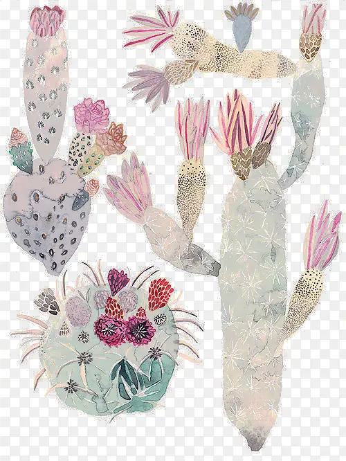 手绘彩绘水粉画植物仙人掌