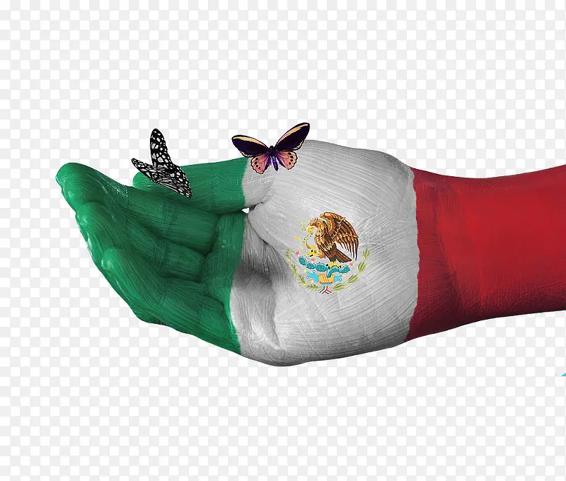创意墨西哥国旗手绘蝴蝶图案