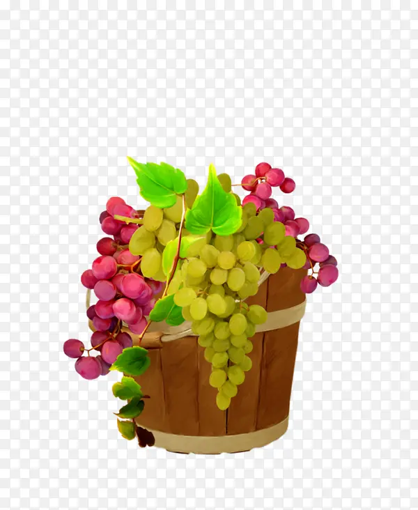 木桶里的葡萄