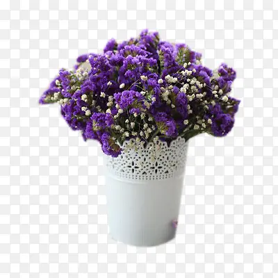 一盆紫色花