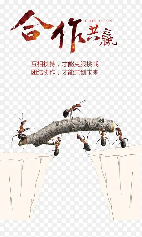 合作共赢蚂蚁搬木头