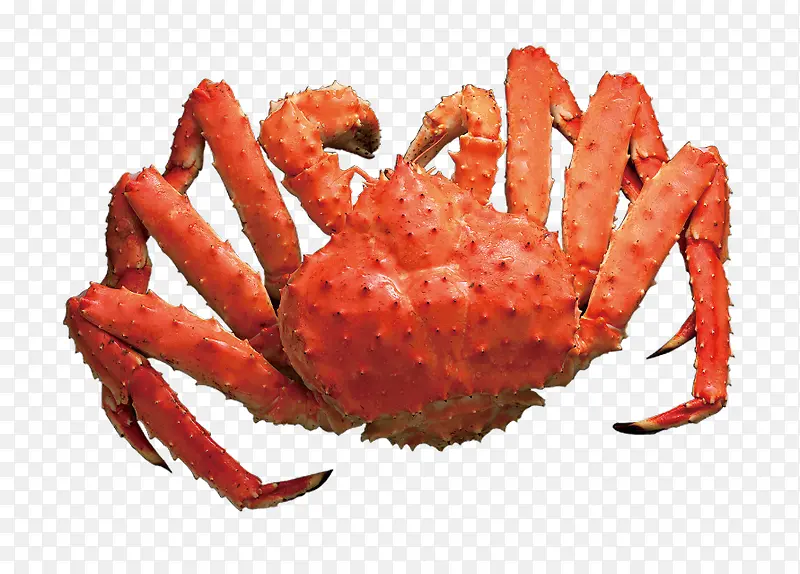 红色的海鲜帝王蟹