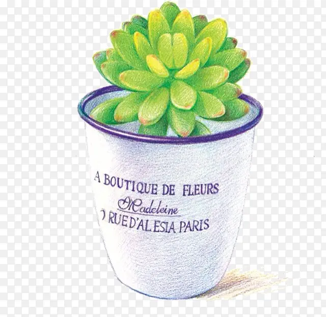 手绘花盆植物