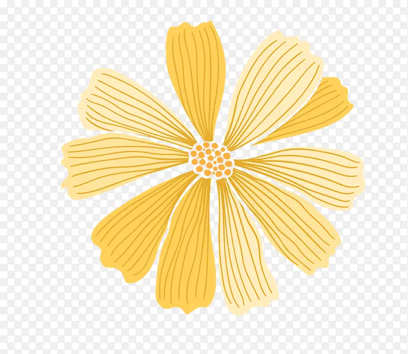 手绘黄色花朵花花瓣