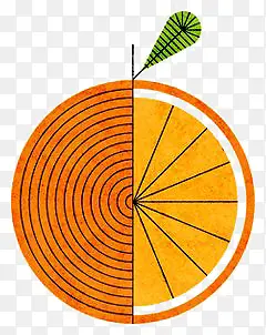 手绘创意橙子