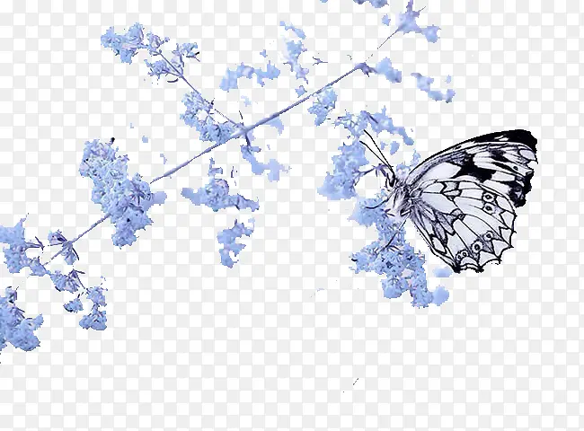 冬日梅花