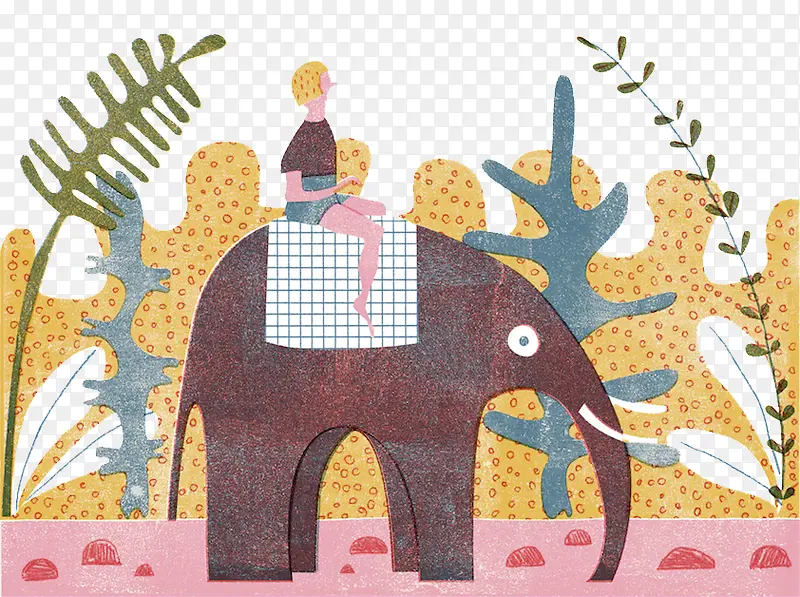 骑大象的人插图