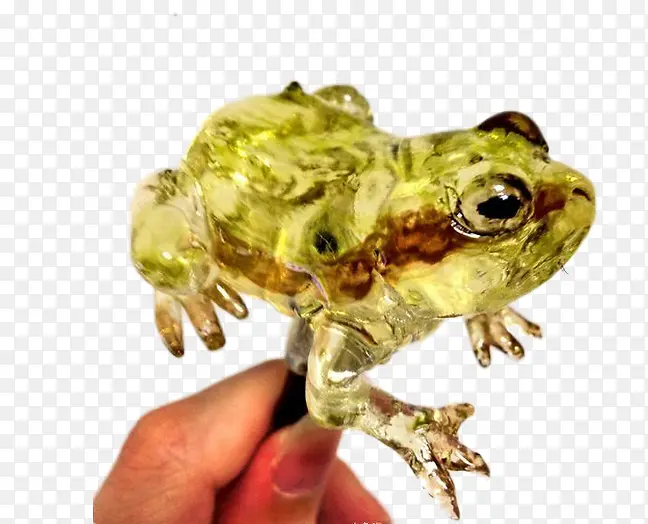 青蛙糖画素材图片
