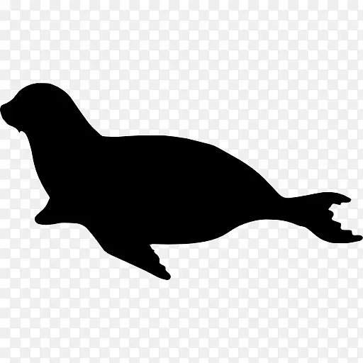 海狮哺乳类动物形状图标
