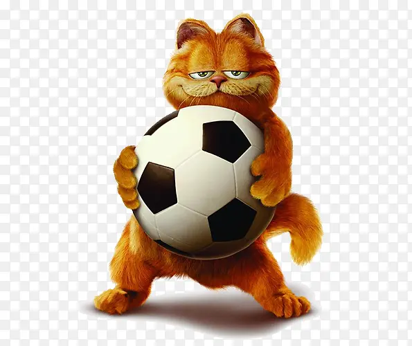 玩足球的加菲猫