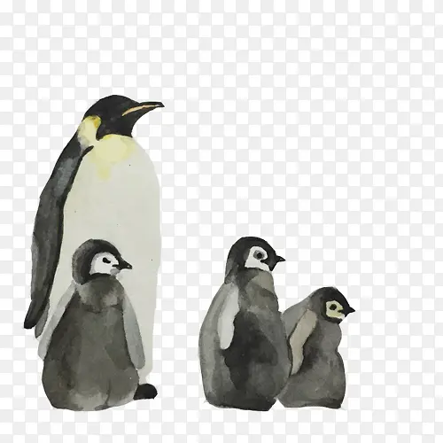 南极企鹅一家素材图片
