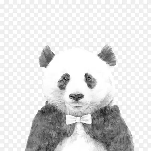 国宝熊猫素描图素材图片