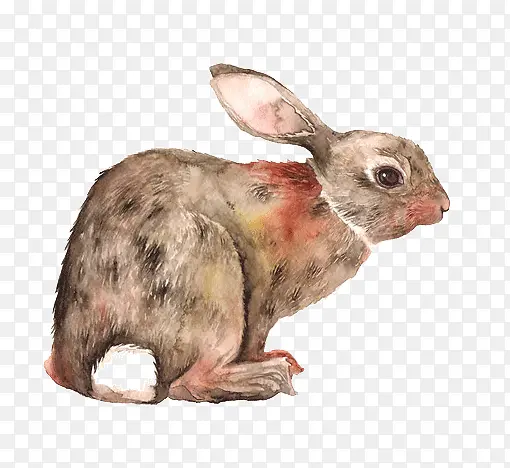 彩色手绘兔子