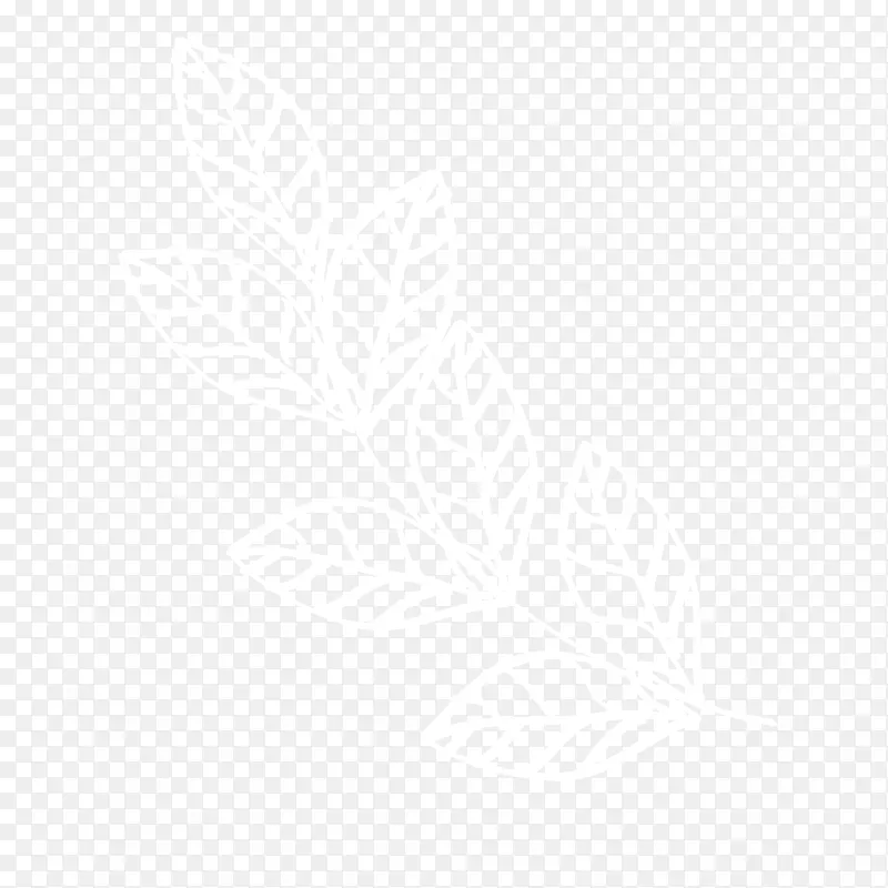 手绘叶子