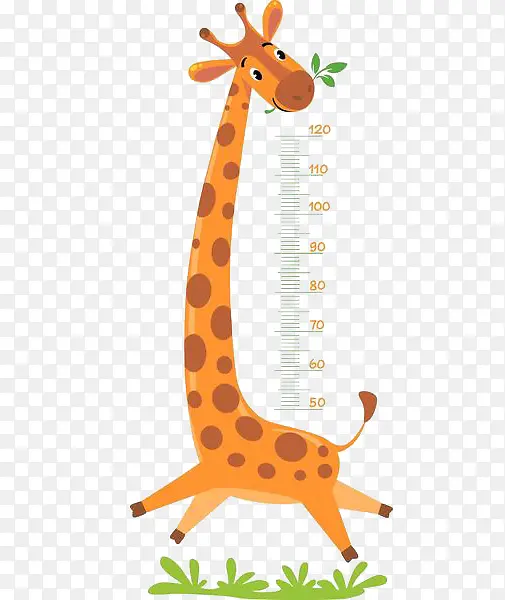 长颈鹿量身高
