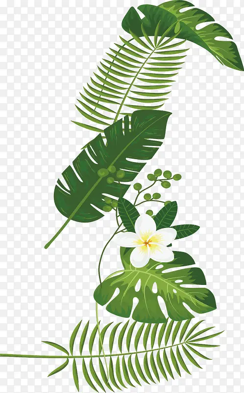 绿色植物PNG下载