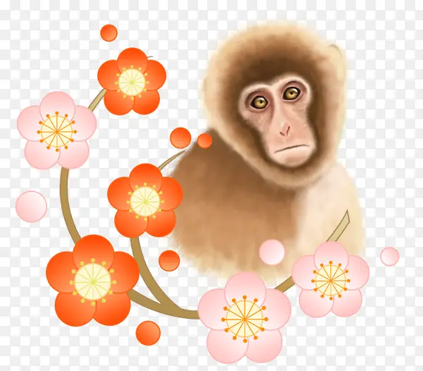 猴子和小花
