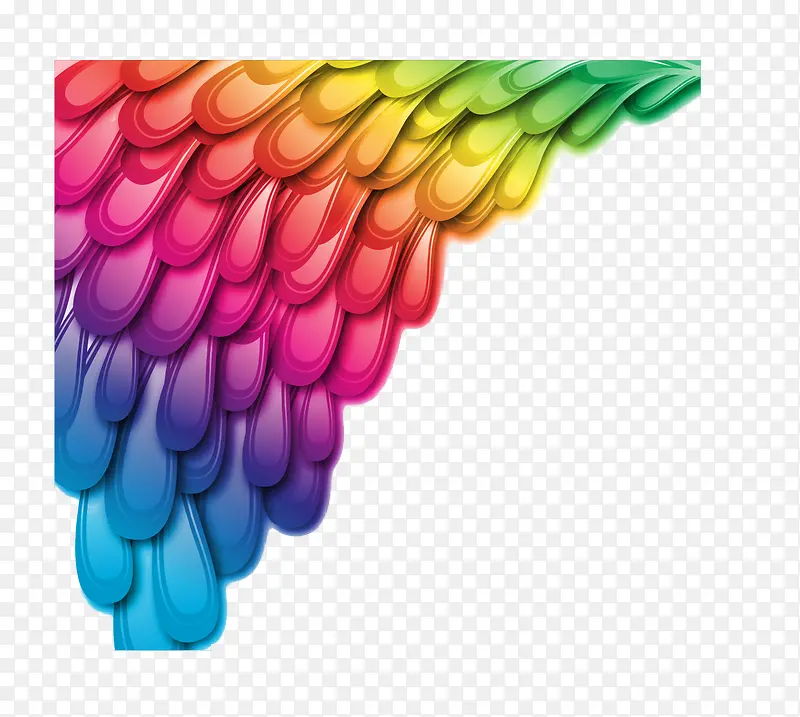 矢量彩色羽毛