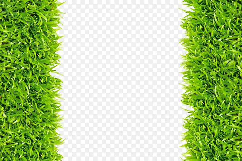 绿色环保草坪素材