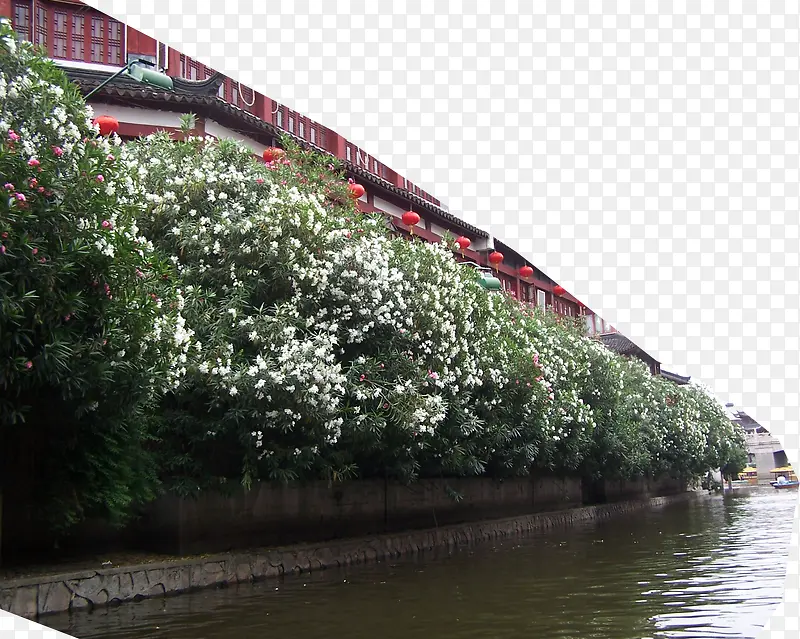 河边植物房屋风景