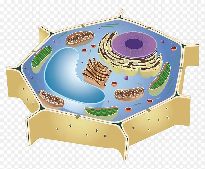 彩色生物医学细胞PPT元素