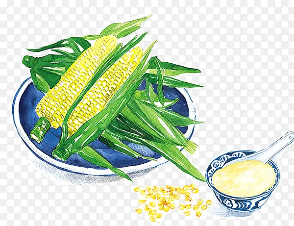 手绘水彩美食玉米