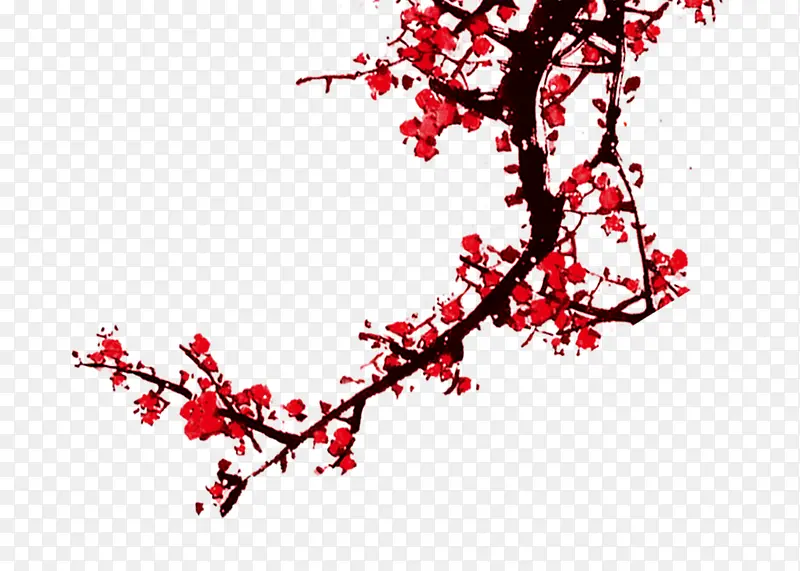 中国风红色的梅花