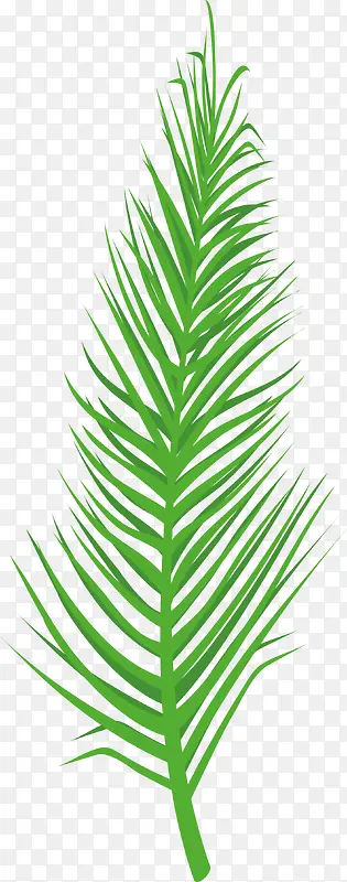 绿色植物棕榈叶素材图