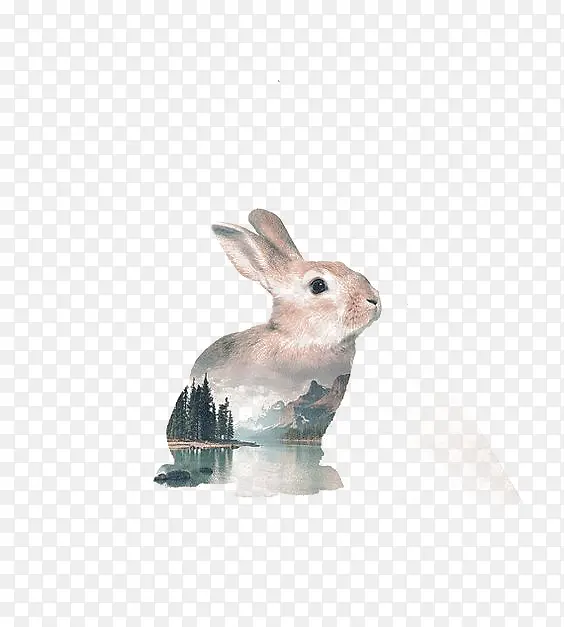 剪影兔子