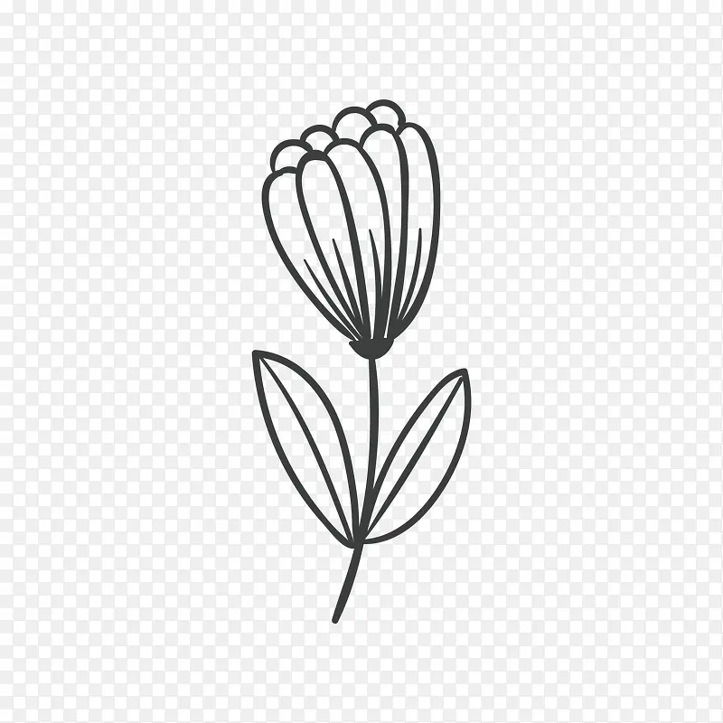 手绘花卉黑白矢量