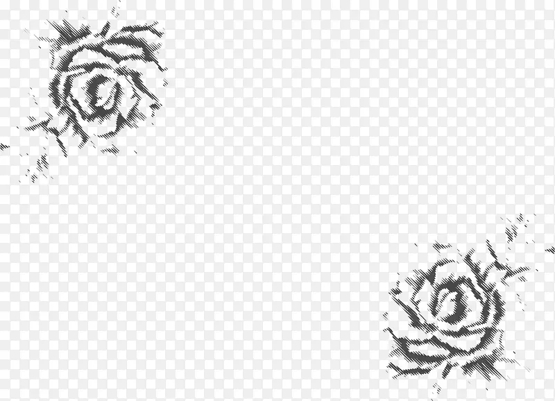 素描效果玫瑰花纹
