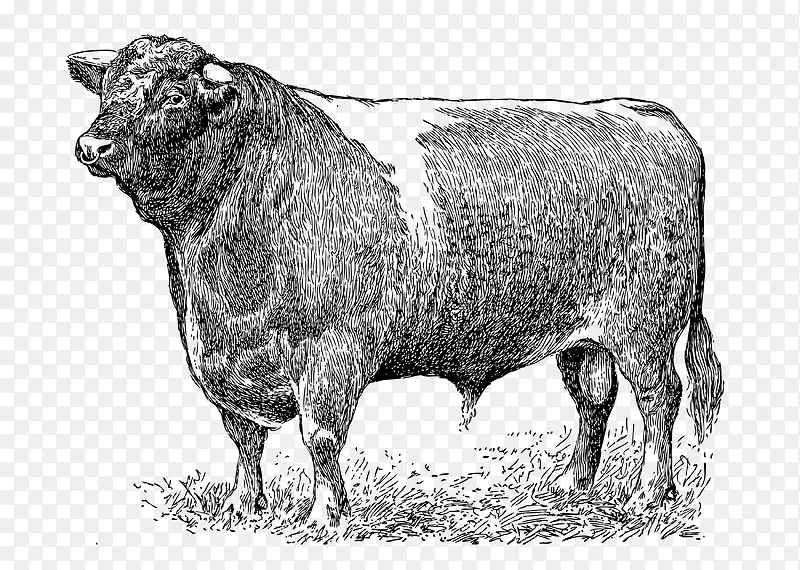 黑色手绘素描大牛