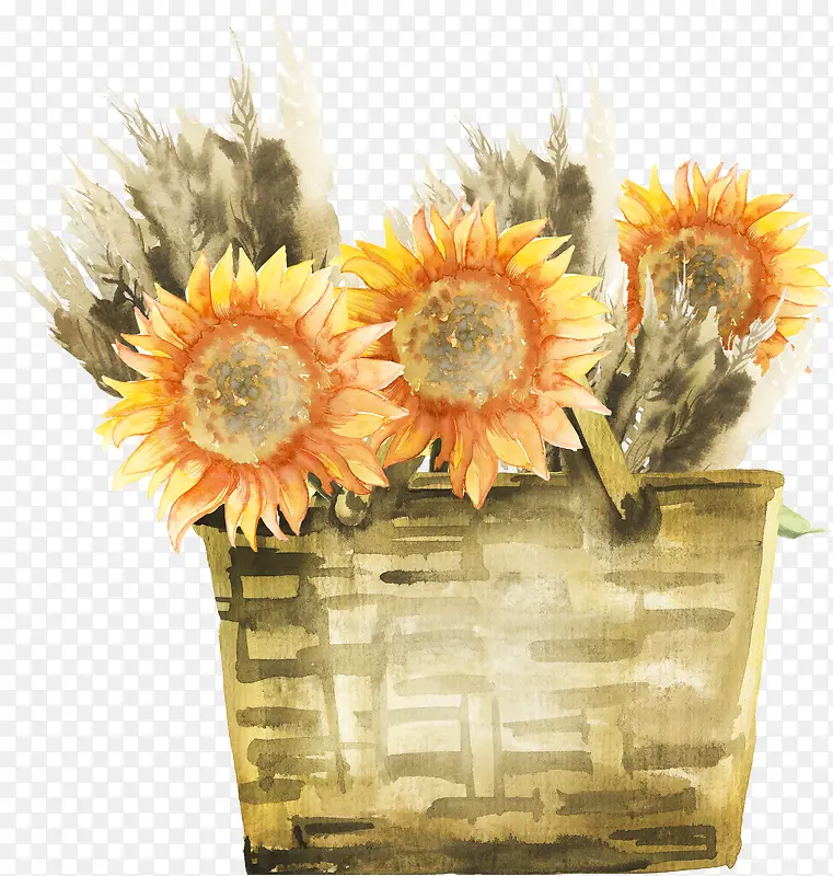 手绘篮子里的向日葵插画