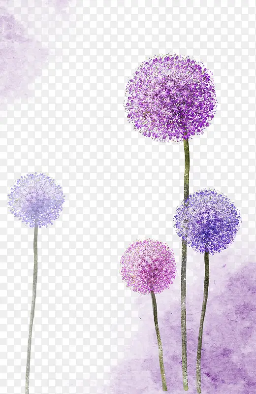 紫色唯美手绘蒲公英