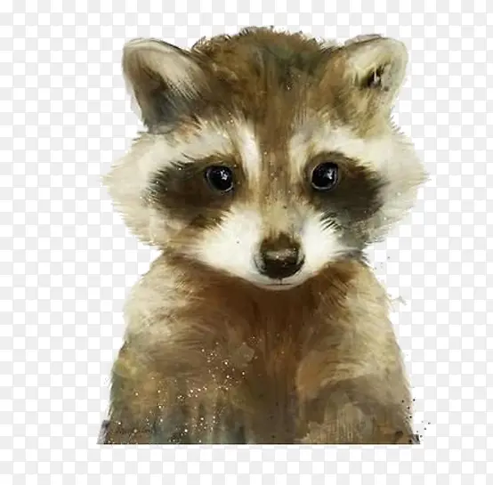 卡通可爱狸猫