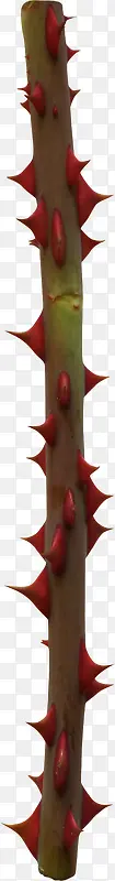 红色桔梗