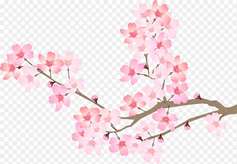 粉色中国风花枝