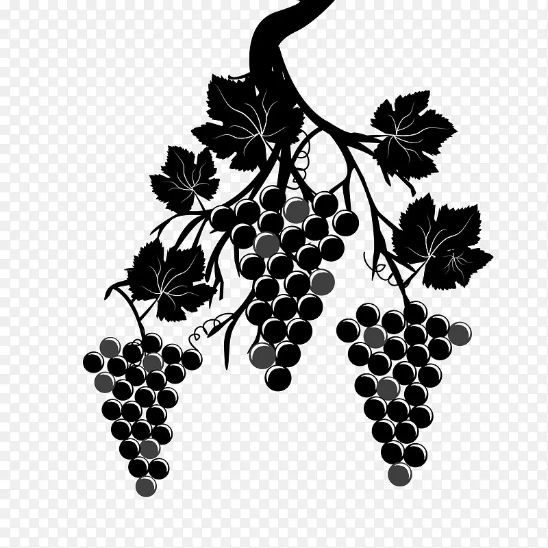 黑色手绘扁平葡萄水果
