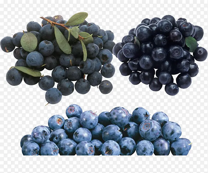成熟的熊果苷蓝莓素材图