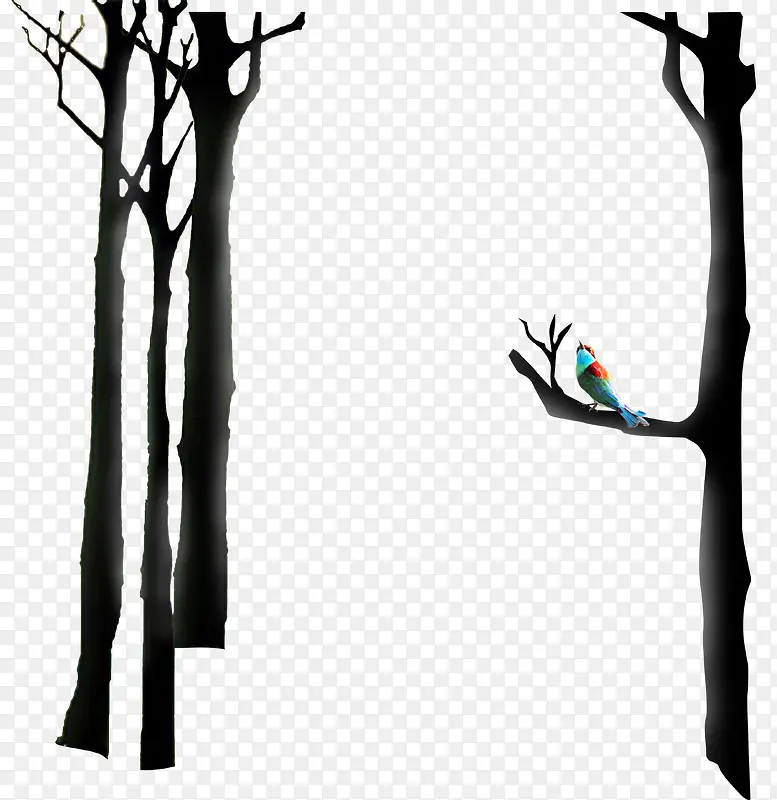手绘树枝树林彩色小鸟
