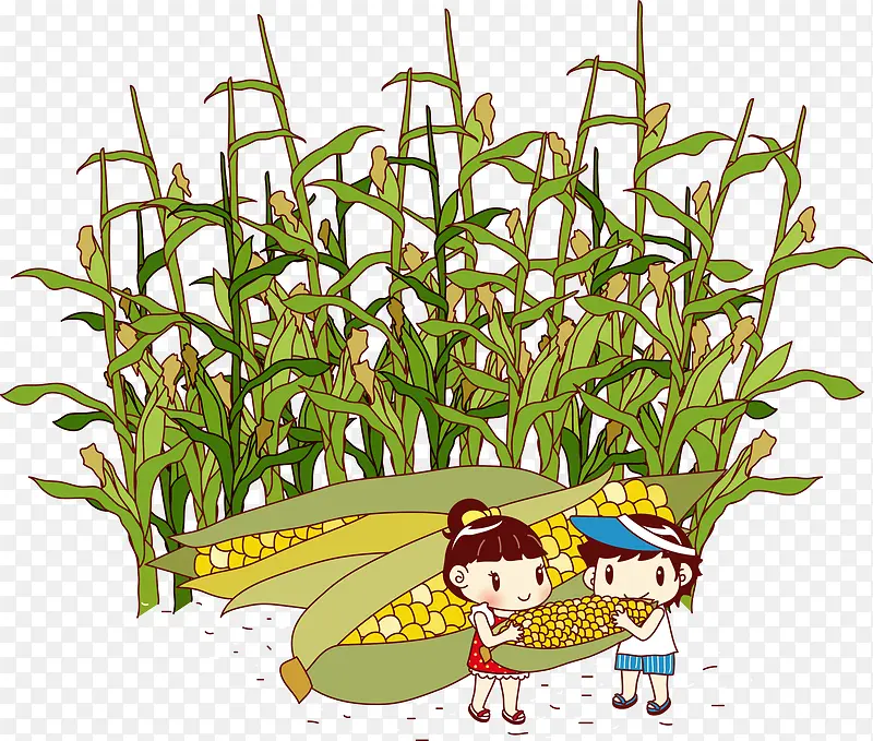 玉米地里的卡通儿童