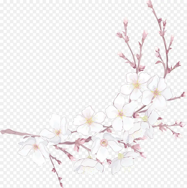 淡彩樱花背景矢量素材