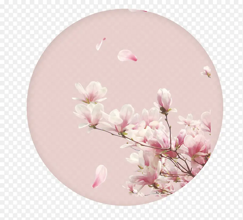 粉色浪漫樱花节旅游banner