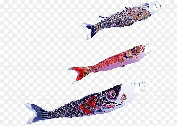 日本挂起来的鱼