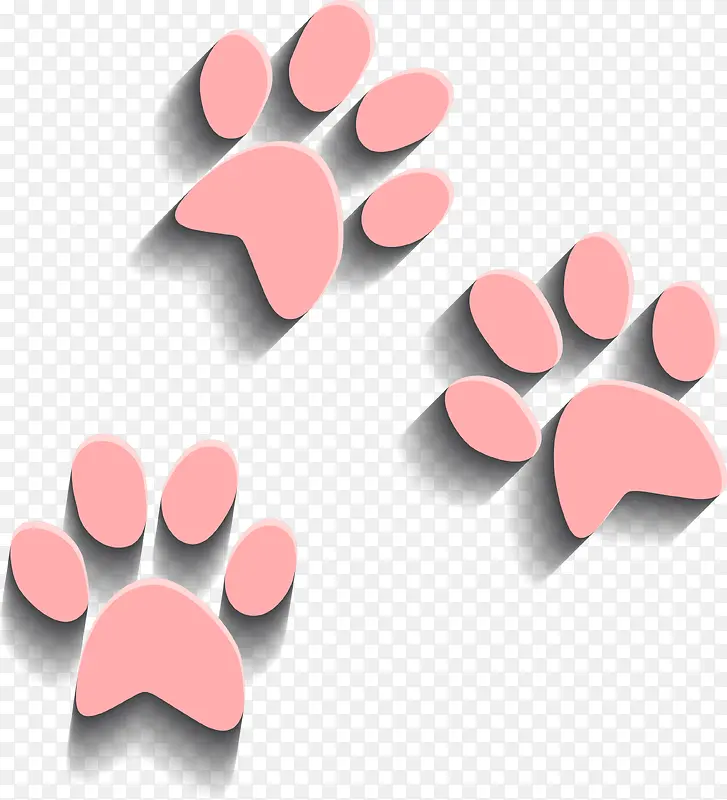粉色立体猫掌
